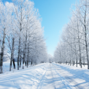 Useful tips to survive the winter